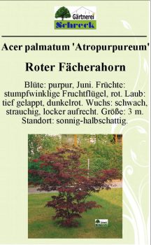 Pflanzenschilder_Schreck_Seite_458-633x1024