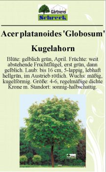 Pflanzenschilder_Schreck_Seite_459-633x1024