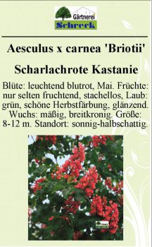 Pflanzenschilder_Schreck_Seite_461-633x1024