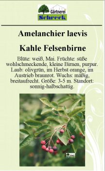 Pflanzenschilder_Schreck_Seite_463-633x1024