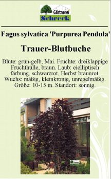 Pflanzenschilder_Schreck_Seite_498-633x1024