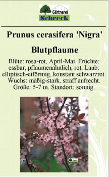 Pflanzenschilder_Schreck_Seite_526-633x1024