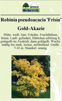 Pflanzenschilder_Schreck_Seite_530-633x1024