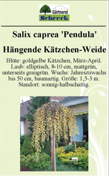 Pflanzenschilder_Schreck_Seite_532-633x1024