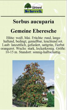 Pflanzenschilder_Schreck_Seite_536-633x1024