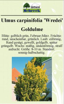 Pflanzenschilder_Schreck_Seite_541-633x1024