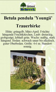 Pflanzenschilder_Schreck_Seite_550-633x1024