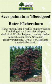 Pflanzenschilder_Schreck_Seite_556-633x1024