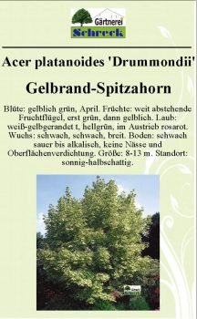 Pflanzenschilder_Schreck_Seite_557-633x1024