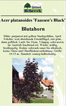 Pflanzenschilder_Schreck_Seite_558-633x1024