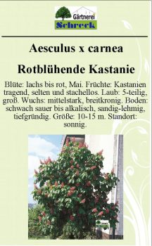 Pflanzenschilder_Schreck_Seite_560-633x1024