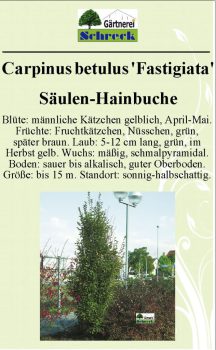 Pflanzenschilder_Schreck_Seite_565-633x1024