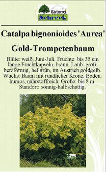 Pflanzenschilder_Schreck_Seite_567-633x1024