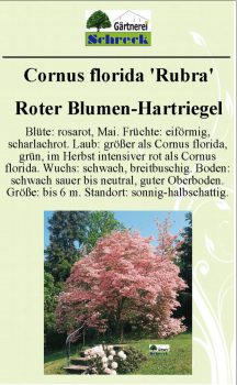 Pflanzenschilder_Schreck_Seite_570-633x1024