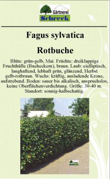 Pflanzenschilder_Schreck_Seite_573-633x1024