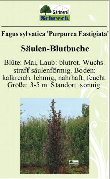 Pflanzenschilder_Schreck_Seite_574-633x1024