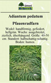 Pflanzenschilder_Schreck_Seite_259-633x1024