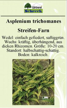 Pflanzenschilder_Schreck_Seite_260-633x1024