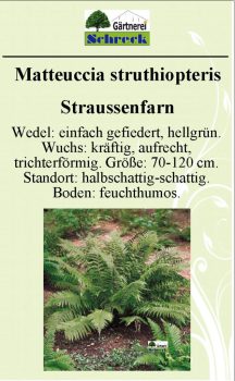 Pflanzenschilder_Schreck_Seite_262-633x1024