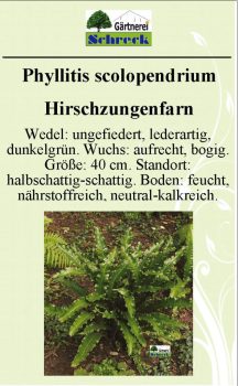 Pflanzenschilder_Schreck_Seite_263-633x1024