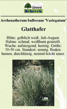 Pflanzenschilder_Schreck_Seite_264-633x1024