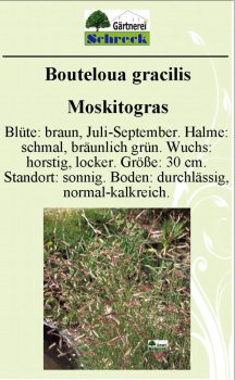 Pflanzenschilder_Schreck_Seite_266-633x1024