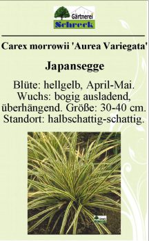 Pflanzenschilder_Schreck_Seite_269-633x1024