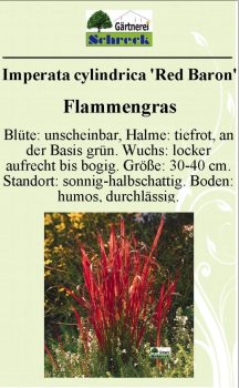 Pflanzenschilder_Schreck_Seite_272-633x1024