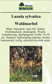 Pflanzenschilder_Schreck_Seite_273-633x1024