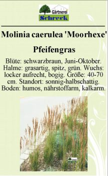 Pflanzenschilder_Schreck_Seite_278-633x1024