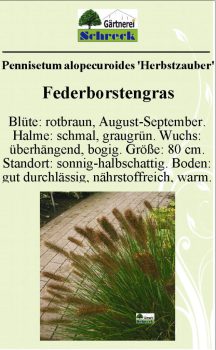 Pflanzenschilder_Schreck_Seite_279-633x1024