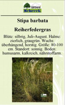 Pflanzenschilder_Schreck_Seite_281-633x1024