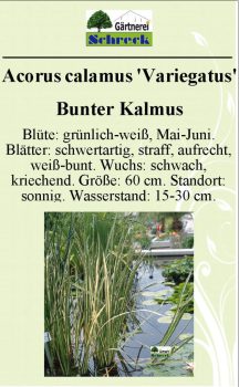 Pflanzenschilder_Schreck_Seite_284-633x1024