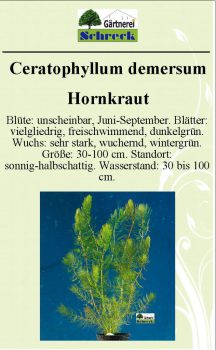 Pflanzenschilder_Schreck_Seite_289-633x1024