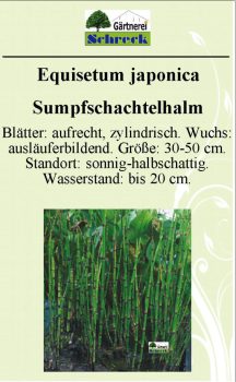 Pflanzenschilder_Schreck_Seite_293-633x1024