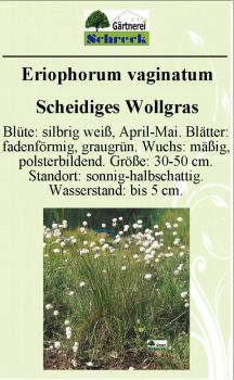 Pflanzenschilder_Schreck_Seite_294-633x1024