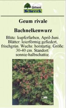 Pflanzenschilder_Schreck_Seite_296-633x1024