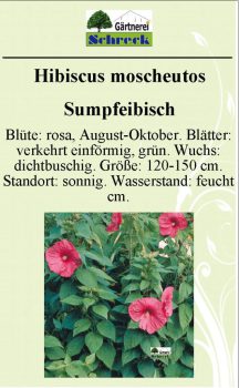 Pflanzenschilder_Schreck_Seite_297-633x1024