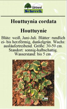 Pflanzenschilder_Schreck_Seite_298-633x1024