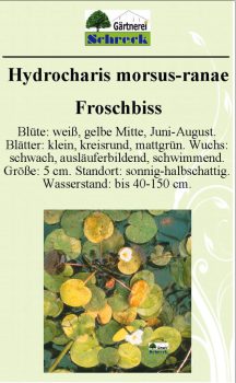 Pflanzenschilder_Schreck_Seite_299-633x1024