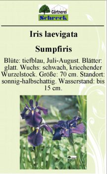 Pflanzenschilder_Schreck_Seite_300-633x1024