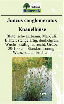 Pflanzenschilder_Schreck_Seite_301-633x1024