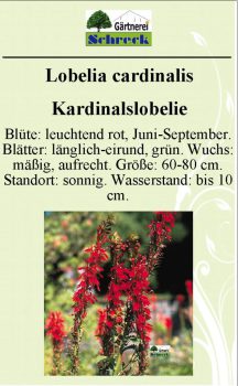 Pflanzenschilder_Schreck_Seite_304-633x1024