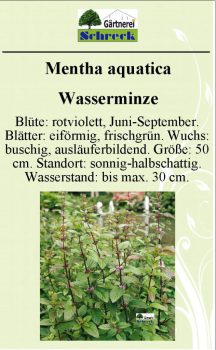 Pflanzenschilder_Schreck_Seite_307-633x1024