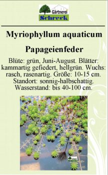 Pflanzenschilder_Schreck_Seite_309-633x1024