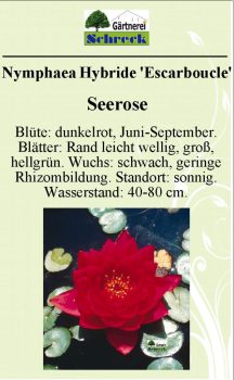 Pflanzenschilder_Schreck_Seite_310-633x1024