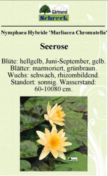 Pflanzenschilder_Schreck_Seite_311-633x1024