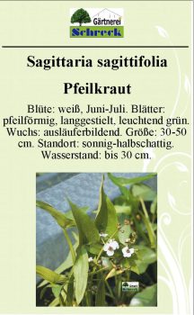 Pflanzenschilder_Schreck_Seite_315-633x1024