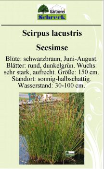 Pflanzenschilder_Schreck_Seite_317-633x1024