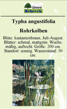 Pflanzenschilder_Schreck_Seite_318-633x1024